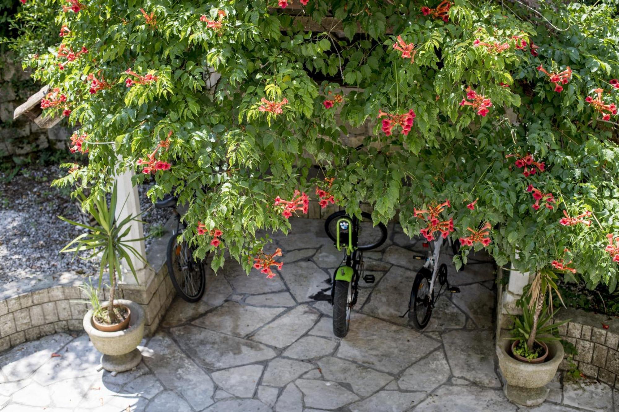 Villa D'Amore Montenegro Donji Morinj Eksteriør billede